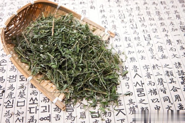 百家乐ios 李可老中医是这么荒谬谈到麻黄的使用问题!