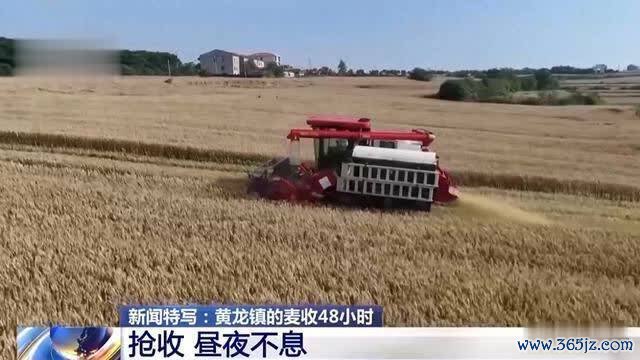 西方媒体思欠亨：中国抢收小麦，为何有这样多东谈主沉驰援？