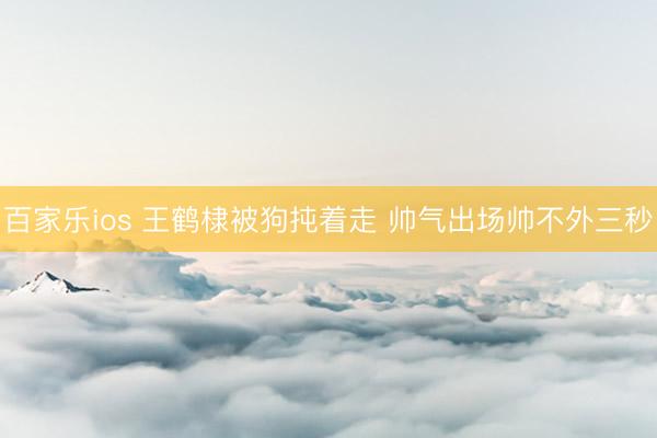 百家乐ios 王鹤棣被狗扽着走 帅气出场帅不外三秒